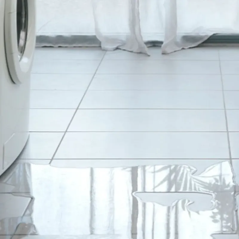Appliance Leak Cleanup in Coats, NC