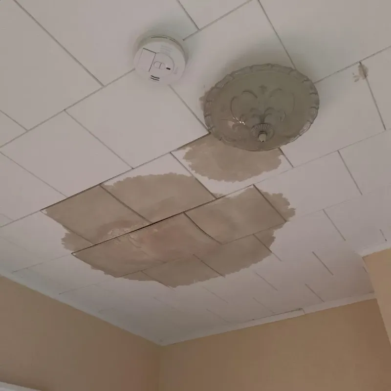 Ceiling Water Damage Repair in Coats, NC