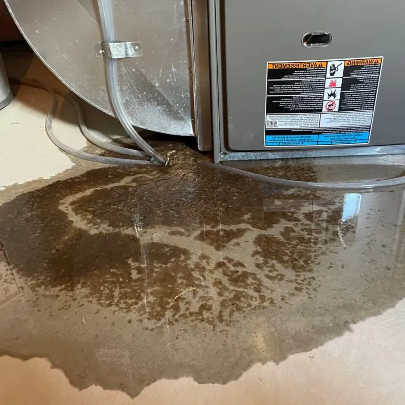 Pipe Burst and Leak Restoration in Coats, NC