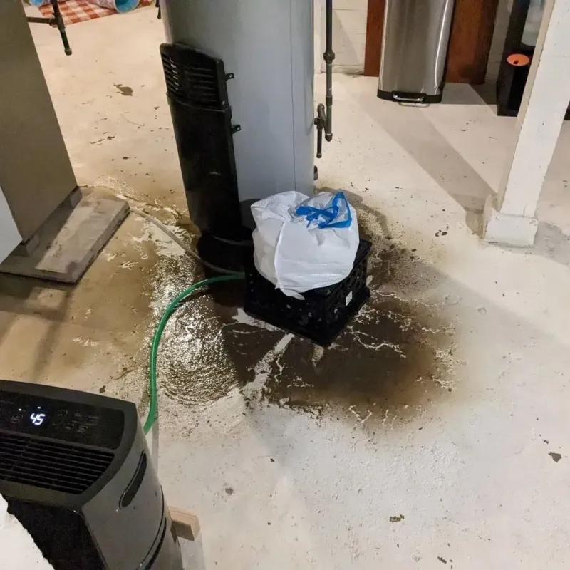 Sewage Backup Cleanup Service in Coats, NC
